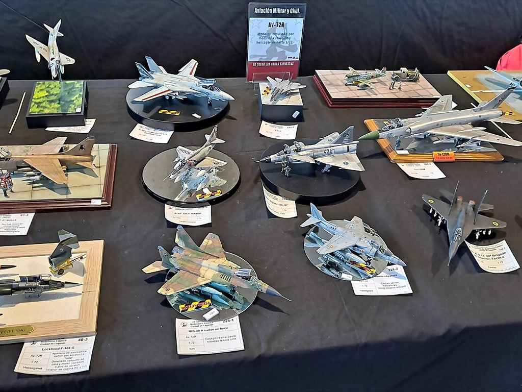 La Casa Municipal de Cultura "Roberto Cabral del Hoyo" fue sede de la exposición y IX Concurso de Modelismo a Escala